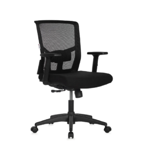 BLM0226 - CADEIRA DIRETOR